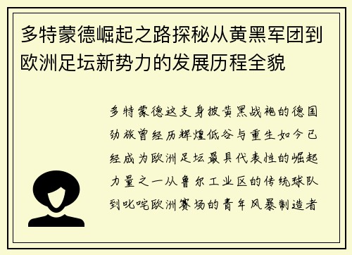 多特蒙德崛起之路探秘从黄黑军团到欧洲足坛新势力的发展历程全貌